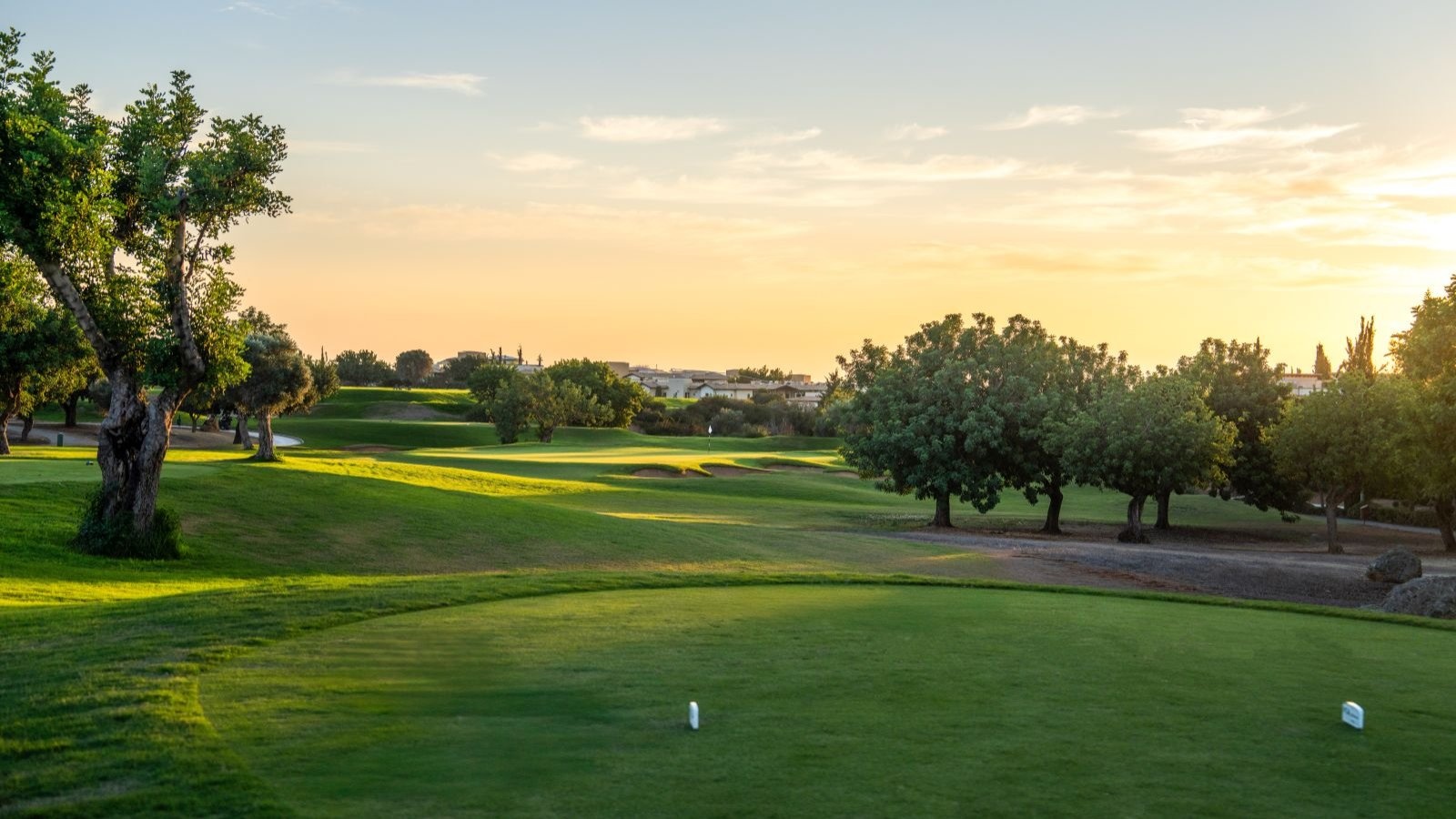 Golf Image