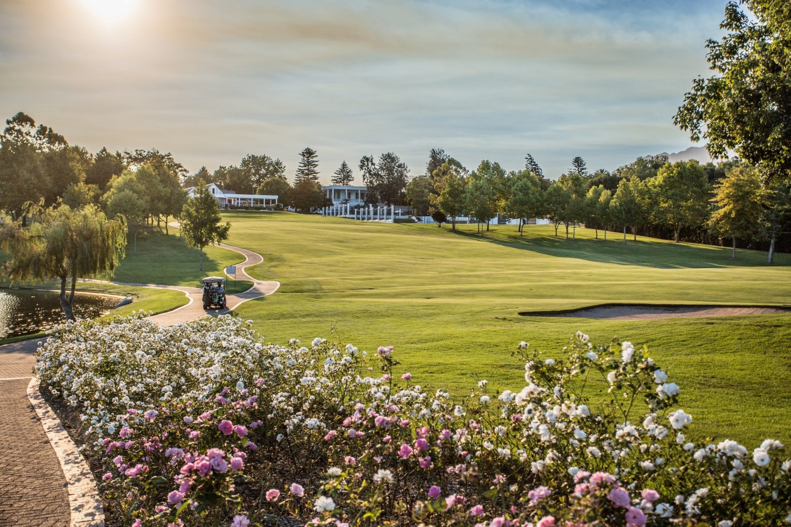 January 13 Night Offer - Offer-ID:1516 - Hotel:Fancourt Hotel-ID:56